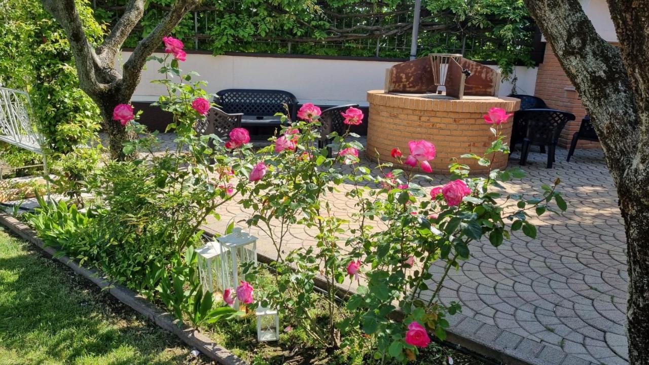 Fontana Oasis Apartments Castelnuovo del Garda Zewnętrze zdjęcie